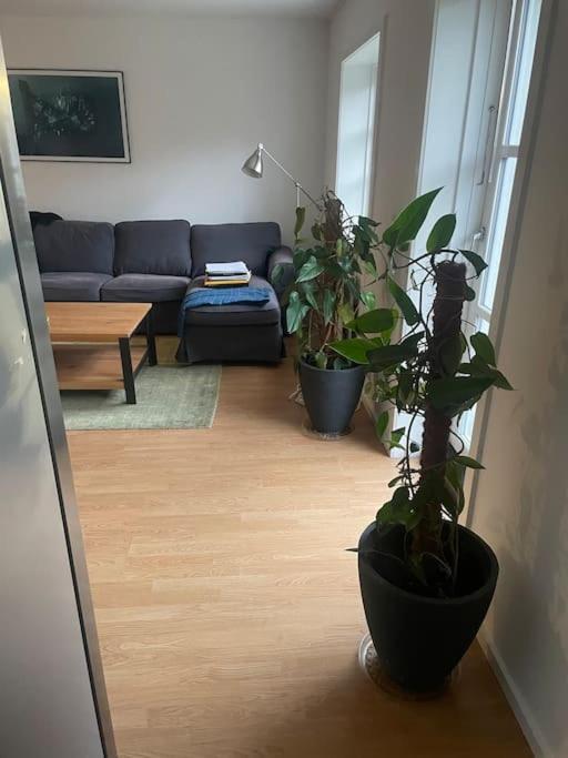 2 Bedroom Apartment Near The Sea Tisvildeleje Luaran gambar
